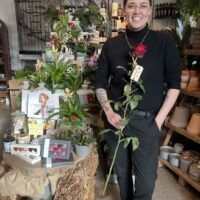 "Be my Valentine" Rose med skilt