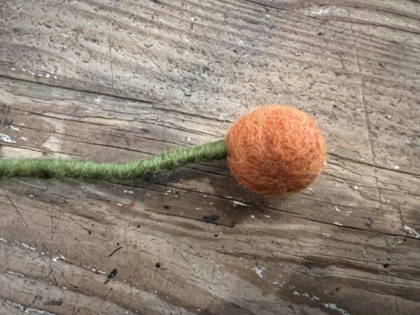 Lille ball Flower, Orange