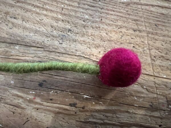 Lille ball Flower, Cerise